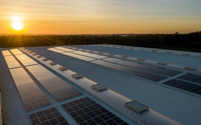 Installation de panneaux solaires en entreprise : tout comprendre 
